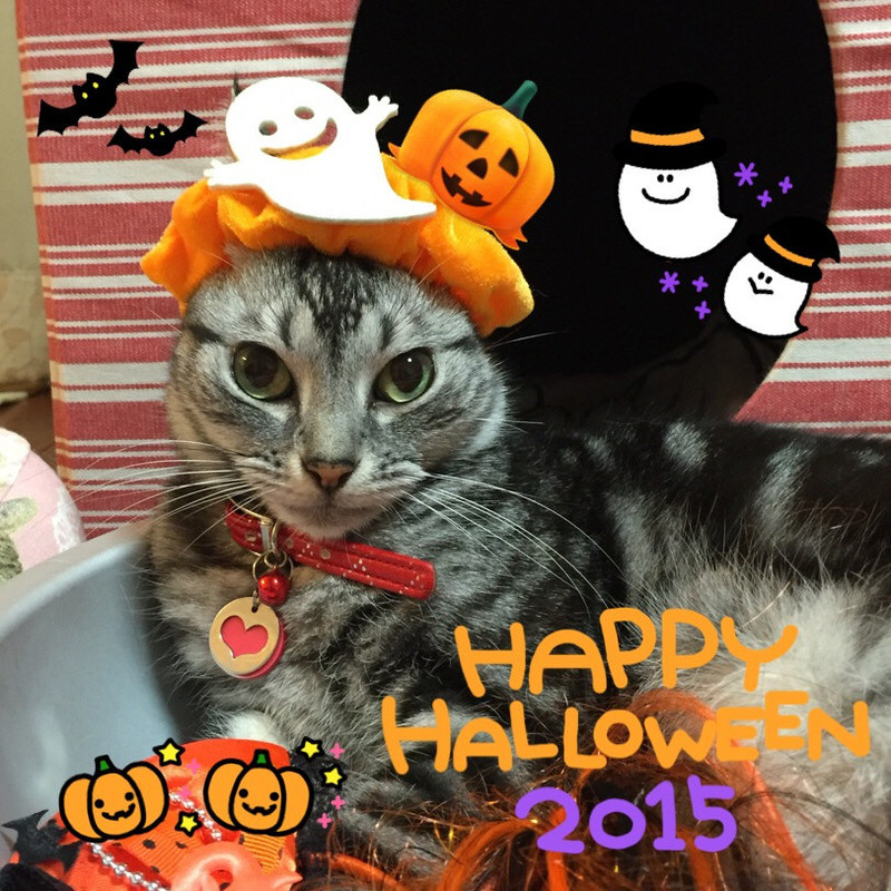 ハロウィン2015