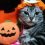 ねここ のハロウィン