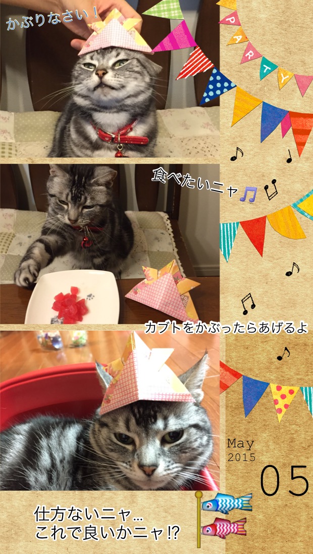 子どもの日　２０１５