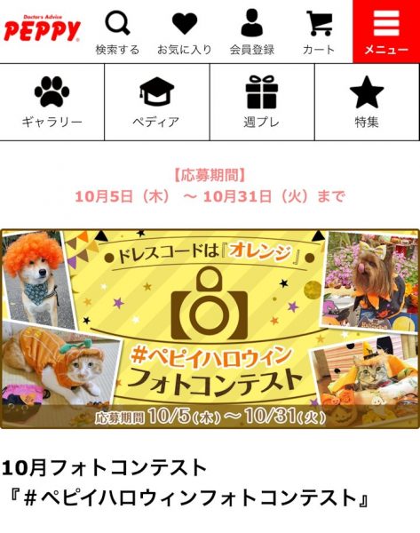 ねここのハロウィン！