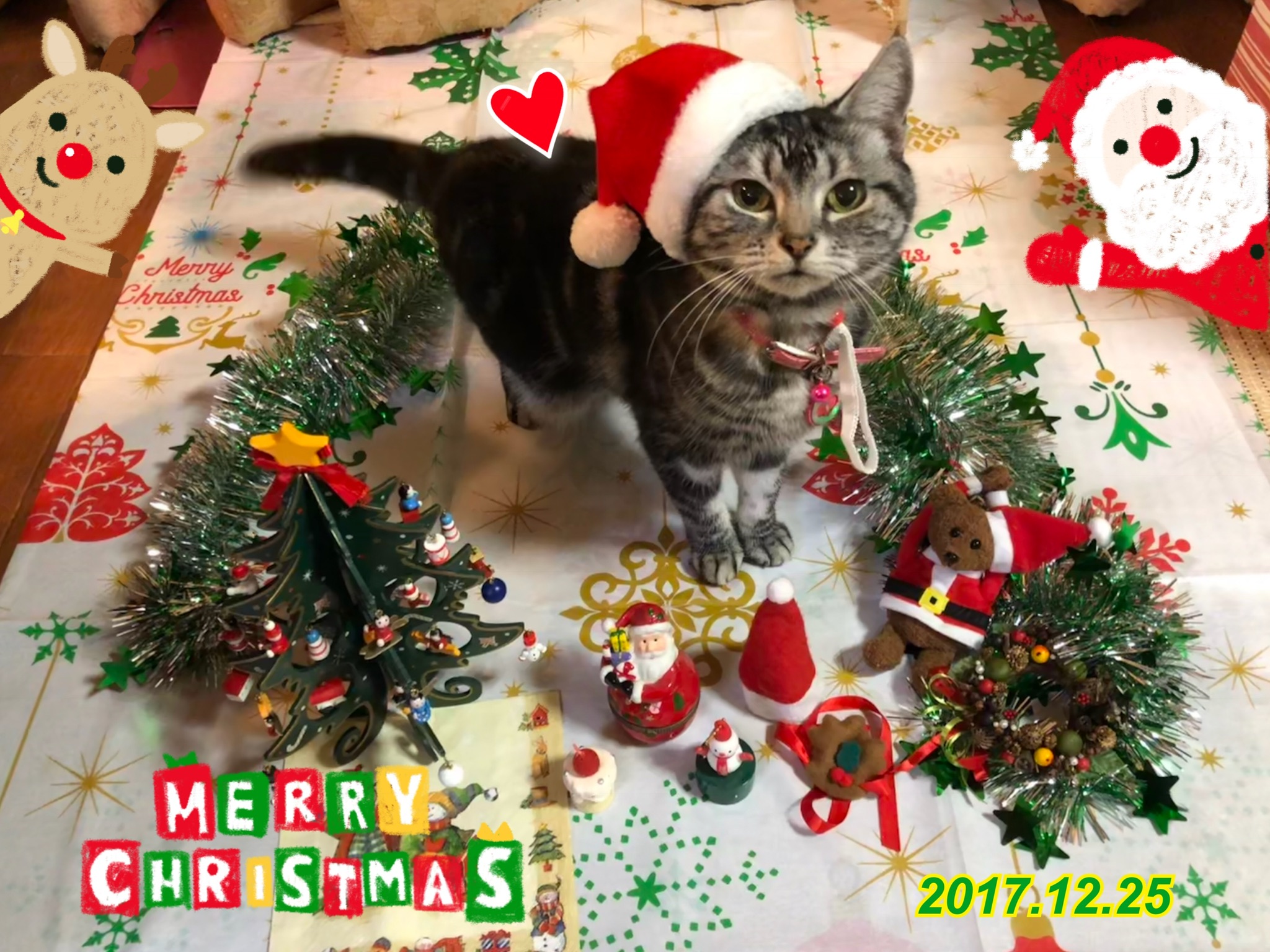 ねここのクリスマス1