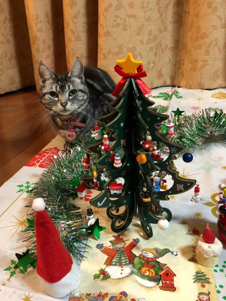 ねここのクリスマス2