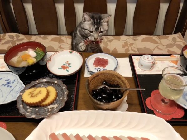 ねここのお正月2018